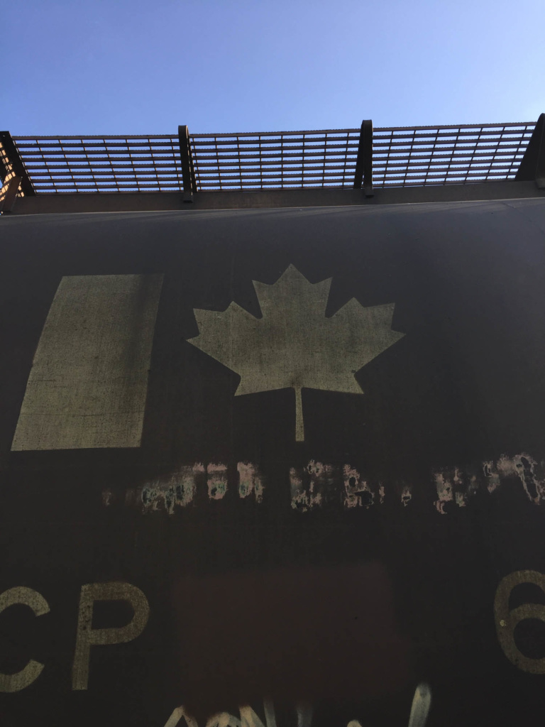 Maple_Canada_Ironlak