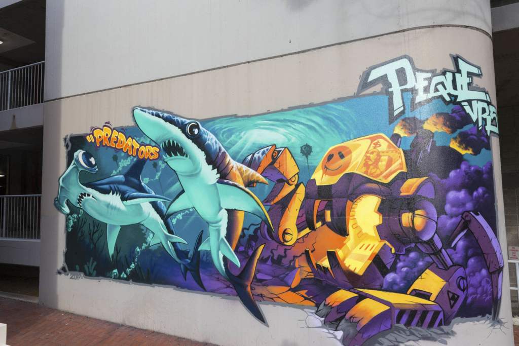 Wonderwalls-Ironlak-Wollongong_LukeShirlaw_