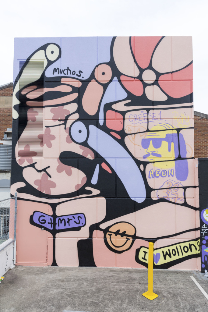 Wonderwalls-Ironlak-Wollongong_LukeShirlaw_